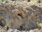 Grupo Mineralógico de Alicante. Cabezo Negro. Zeneta. Murcia  