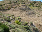 Grupo Mineralógico de Alicante.Cabezo Negro. Zeneta. Murcia  