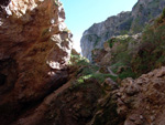 Grupo Mineralógico de Alicante. Mina la Profunda. Carmenes. León  