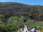 Grupo Mineralógico de Alicante. Mina Satelite. Miñera de Luna. León  