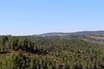 Grupo Mineralógico de Alicante. Los Yesares. Camporrobles. Valencia  