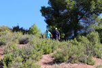 Grupo Mineralógico de Alicante. Los Yesares. Camporrobles. Valencia  