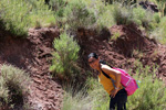 Grupo Mineralógico de Alicante.Los Yesares. Camporrobles. Valencia   