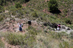 Grupo Mineralógico de Alicante. Los Yesares. Camporrobles. Valencia  