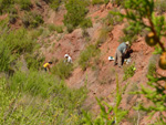 Grupo Mineralógico de Alicante. Los Yesares. Camporrobles. Valencia  