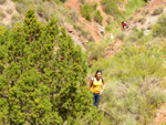 Grupo Mineralógico de Alicante. Los Yesares. Camporrobles. Valencia  