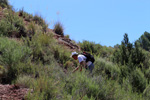 Grupo Mineralógico de Alicante. Los Yesares. Camporrobles. Valencia  