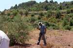 Grupo Mineralógico de Alicante.Trias de Chella. Valencia 