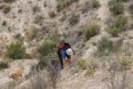 Grupo Mineralógico de Alicante. Monnegre. Alicante  