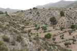 Grupo Mineralógico de Alicante. Monnegre. Alicante  