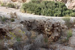 Grupo Mineralógico de Alicante. Monnegre. Alicante  