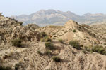 Grupo Mineralógico de Alicante. Monnegre. Alicante  