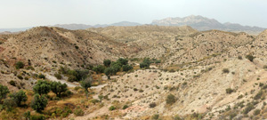 Grupo Mineralógico de Alicante. Monnegre. Alicante  