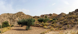 Grupo Mineralógico de Alicante. Monnegre. Alicante 