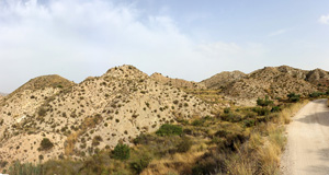 Grupo Mineralógico de Alicante. Monnegre. Alicante  