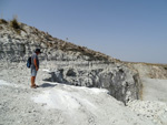 Grupo Mineralógico de Alicante.Cerro Cabezagorda, Cantera Torrique. Noblejas. Toledo  