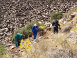 Grupo Mineralógico de Alicante. Mina Rómulo. Distrito Minero de Cartagena la Unión   