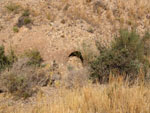 Grupo Mineralógico de Alicante. Cabezo de la Mina.Santomera. Murcia   