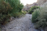 Grupo Mineralógico de Alicante. Ojós. Valle de Ricote. Murcia  