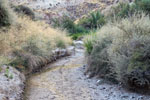 Grupo Mineralógico de Alicante. Ojós. Valle de Ricote. Murcia  