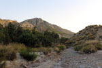 Grupo Mineralógico de Alicante. Ojós. Valle de Ricote. Murcia  