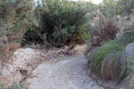 Grupo Mineralógico de Alicante. Ojós. Valle de Ricote. Murcia  