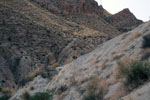 Grupo Mineralógico de Alicante. Ojós. Valle de Ricote. Murcia  