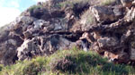 Grupo Mineralógico de Alicante. Ojós. Berbes. Asturias  