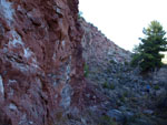 Grupo Mineralógico de Alicante. Explotación de Yeso. Cabezo de la Panadesa. Castalla. Alicante  