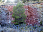 Grupo Mineralógico de Alicante. Explotación de Yeso. Cabezo de la Panadesa. Castalla. Alicante  