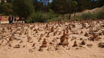 Grupo Mineralógico de Alicante. los Ocres de Roussillon. Rustrel, Región de Provenza. Francia   