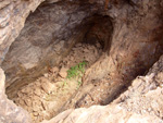 Grupo Mineralógico de Alicante. Minas de Hierro. Cabezo Gordo de Torrepacheco. Murcia  