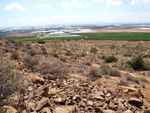 Grupo Mineralógico de Alicante. Minas de Hierro. Cabezo Gordo de Torrepacheco. Murcia  