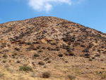 Grupo Mineralógico de Alicante. Minas de Hierro. Cabezo Gordo de Torrepacheco. Murcia  