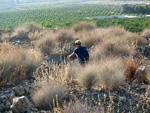 Grupo Mineralógico de Alicante. Cabezo Negro. Zeneta. Murcia  