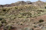 Grupo Mineralógico de Alicante. Paraje Piedra Negra. Jijona Alicante.  