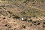 Grupo Mineralógico de Alicante. Paraje Piedra Negra. Jijona Alicante.  