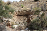 Grupo Mineralógico de Alicante. Paraje Piedra Negra. Jijona Alicante.  