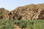 Grupo Mineralógico de Alicante.Paraje Piedra Negra. Jijona Alicante.  