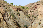 Grupo Mineralógico de Alicante.Paraje Piedra Negra. Jijona Alicante. 