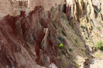 Grupo Mineralógico de Alicante.Paraje Piedra Negra. Jijona Alicante. 