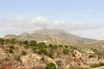 Grupo Mineralógico de Alicante. Paraje Piedra Negra. Jijona Alicante. 