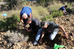 Grupo Mineralógico de Alicante. Paraje de la Jabalina. Cehegin. Murcia  