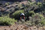 Grupo Mineralógico de Alicante. Paraje de la Jabalina. Cehegin. Murcia  