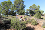 Grupo Mineralógico de Alicante. Paraje de la Jabalina. Cehegin. Murcia  