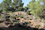 Grupo Mineralógico de Alicante. Paraje de la Jabalina. Cehegin. Murcia  