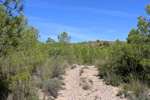 Grupo Mineralógico de Alicante. Mina San Antonio.  Cehegin. Murcia  