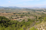 Grupo Mineralógico de Alicante. Mina San Antonio.  Cehegin. Murcia  