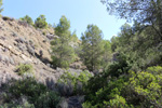 Grupo Mineralógico de Alicante. Mina San Antonio.  Cehegin. Murcia  