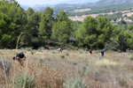 Grupo Mineralógico de Alicante.  Ópalo con Dendritas.Mina San Antonio.  Cehegin. Murcia 